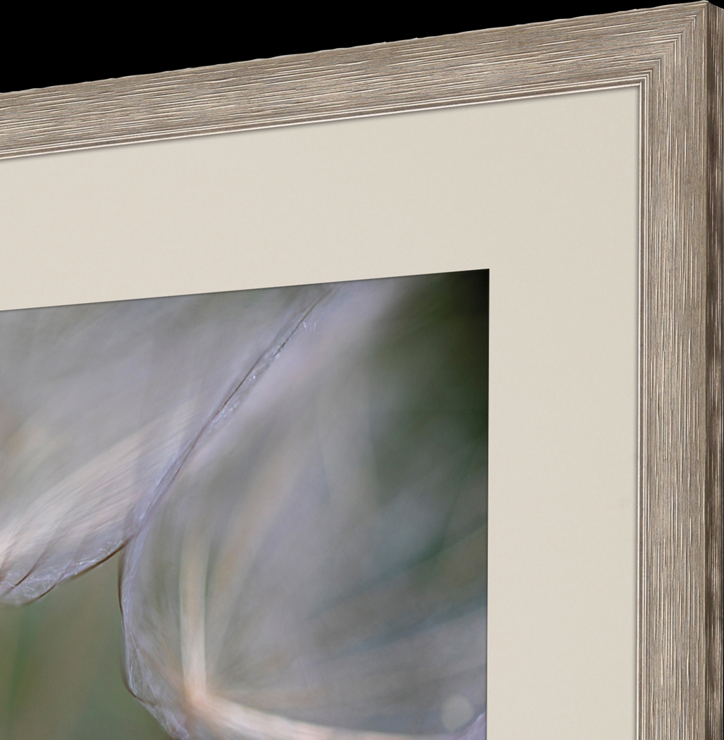 Winded White Framed Artwork - Thumbnail - Image 4