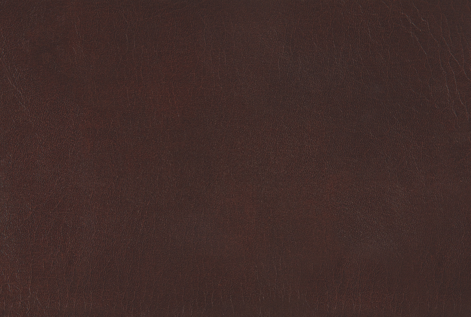 Winkfield Brown Office Chair - Thumbnail - Image 11