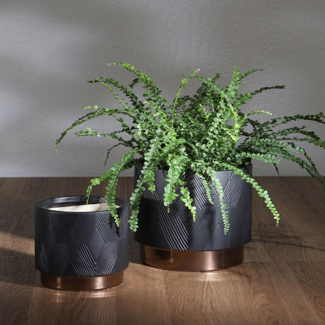 Winoca III Black Planter, Set of 2 - Thumbnail - Image 2
