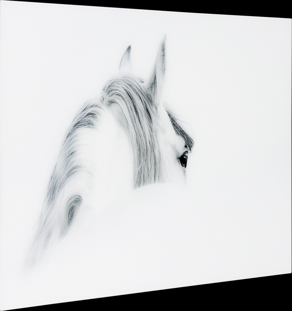 Winter Stare Artwork - Thumbnail - Image 2