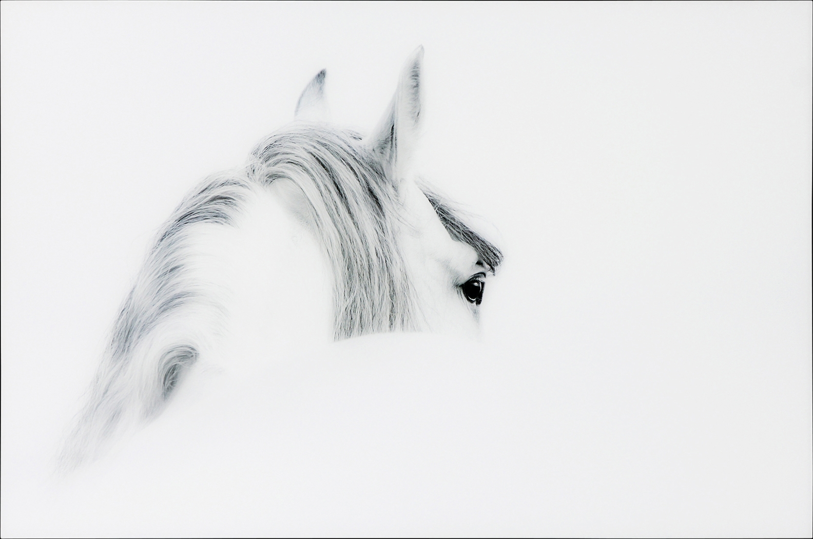 Winter Stare Artwork - Thumbnail - Image 1