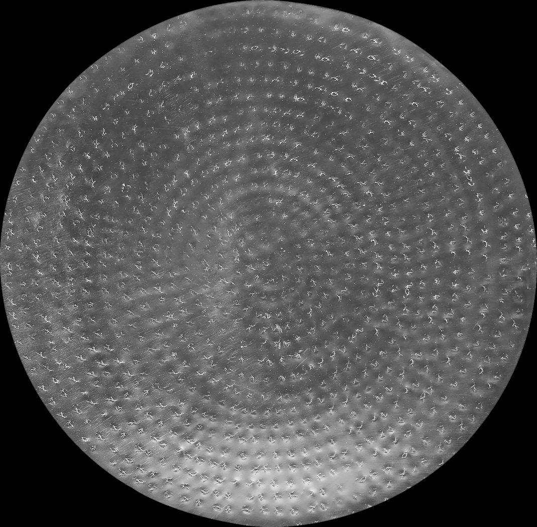 Woodbrier Chrome Accent Table - Thumbnail - Image 2