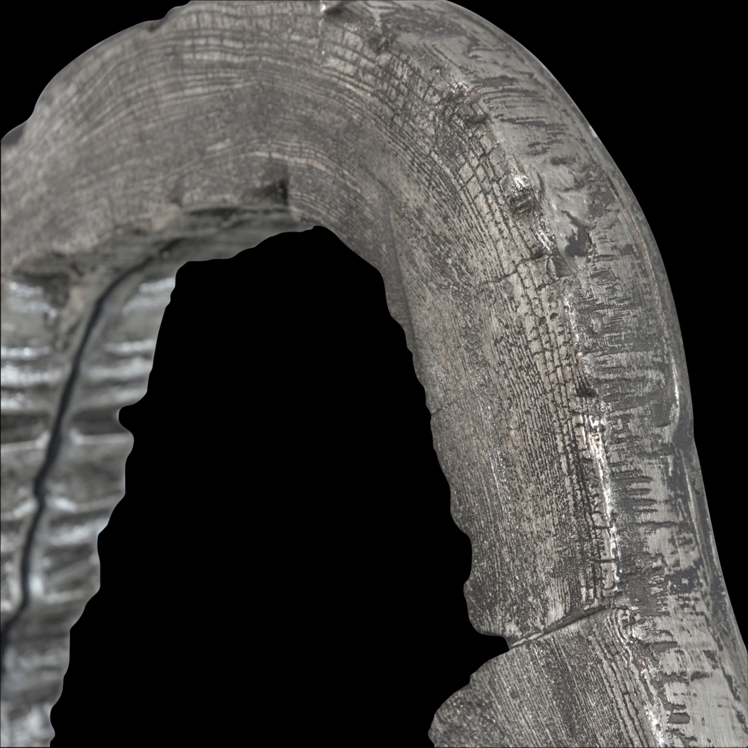 Woodmeere Silver Mirror - Thumbnail - Image 3