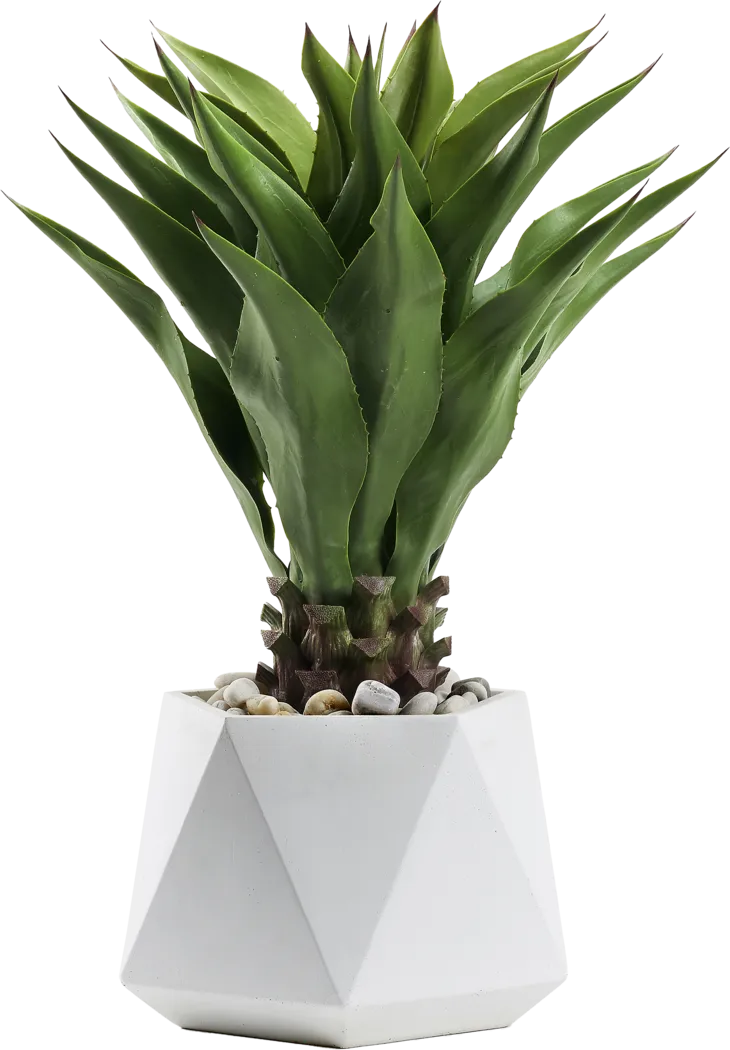 Yoro Green 32 in. Artificial Sisal Tree in White Planter - Thumbnail - Image 1