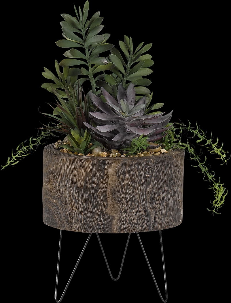 Zaiden Green Succulent Silk Plant - Thumbnail - Image 1