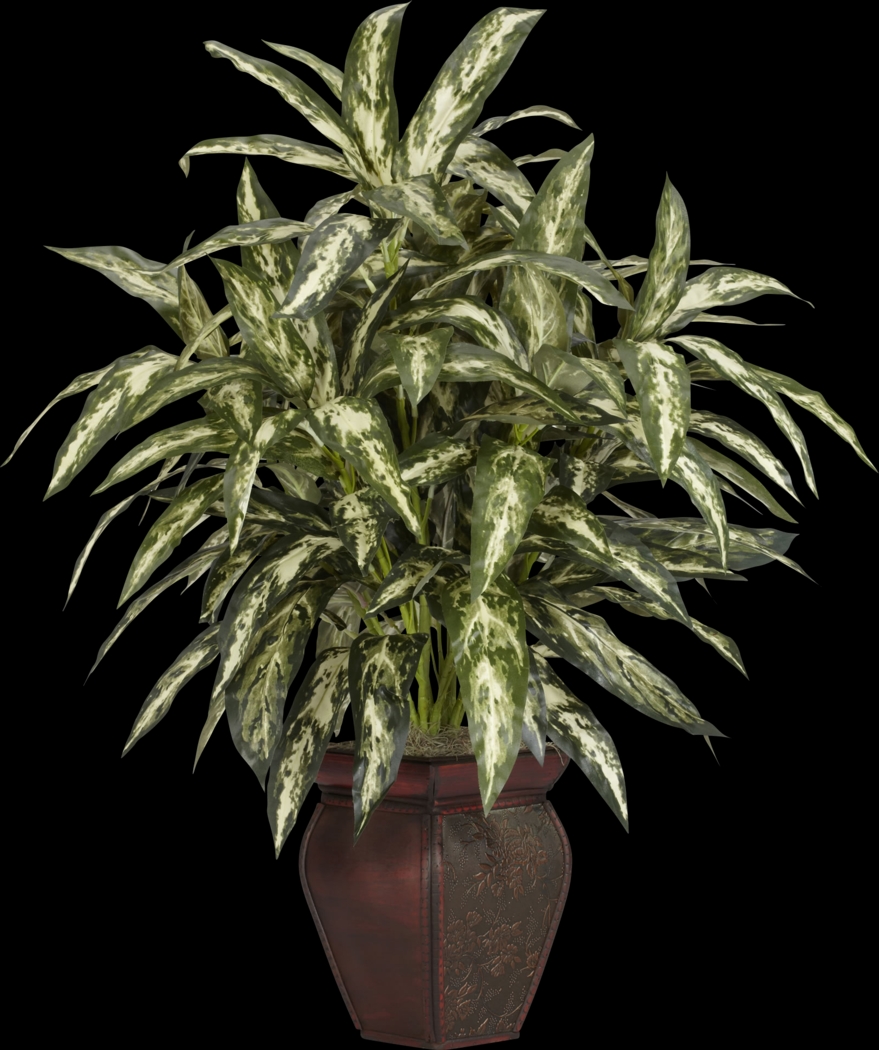Zekiel Green Aglaonema Silk Plant - Thumbnail - Image 1