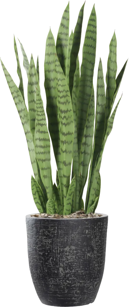Zenara 30 in. Sansevieria UV Artificial Plant in Black Planter - Thumbnail - Image 1
