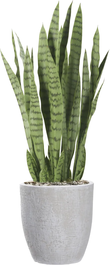 Zenara 30 in. UV Artificial Sansevieria in White Planter - Thumbnail - Image 1