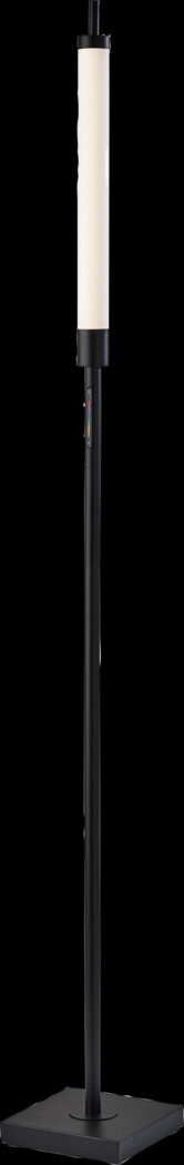 Zenith Loop Black Floor Lamp - Thumbnail - Image 1