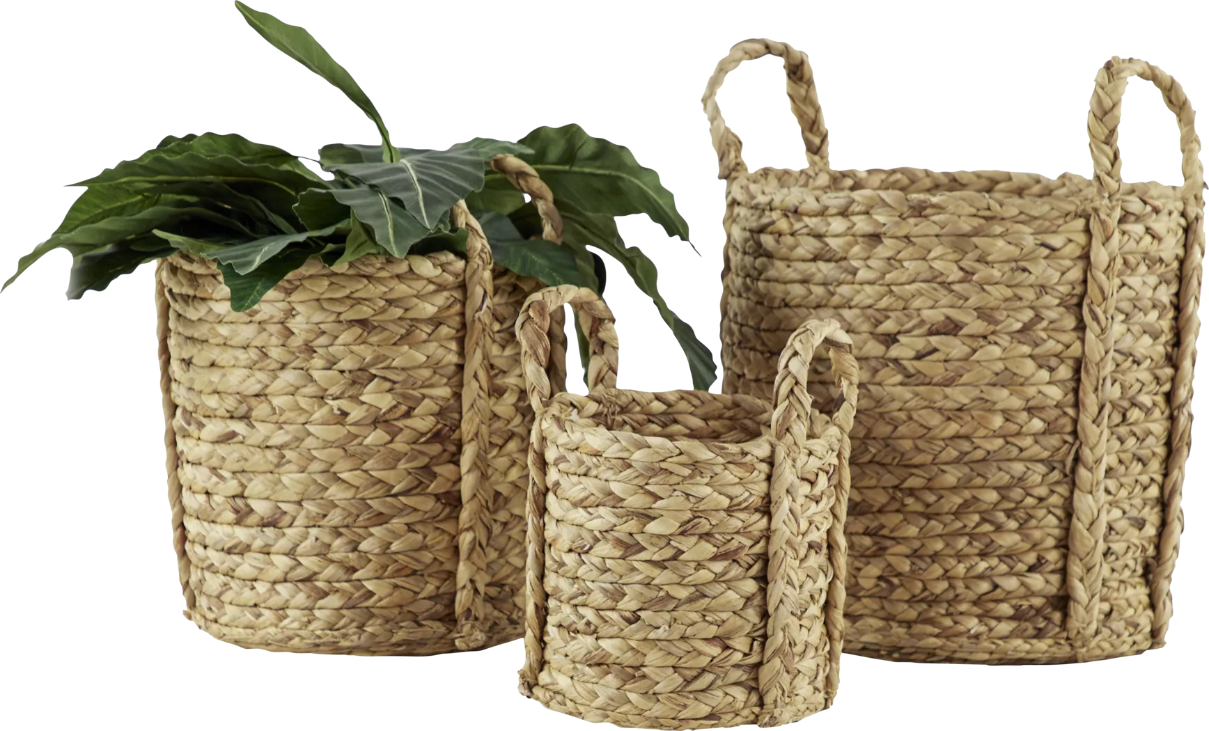 Zesti Brown Basket, Set of 3 - Thumbnail - Image 5